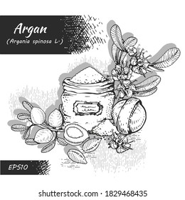 Composition with branch argan tree with fruits, nuts argans, leaves, flower argans and and accessories Detailed hand-drawn sketches, vector botanical illustration. 