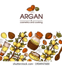 Composición con árbol de argán bifurcación con frutos, argans de nueces, hojas y accesorios Esbozos detallados a mano, ilustración botánica vectorial.