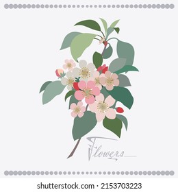 Composition of a branch of a flowering apple tree and an inscription