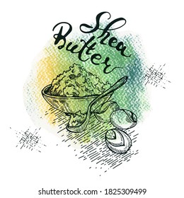 Composition with branch Shea tree with fruits, nuts, leaves and Shea butte. Detailed hand-drawn sketches and lettering, vector botanical illustration. For cosmetics, medicine, aromatherapy. 