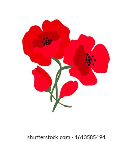 Composition with bright red poppy flowers isolated on white background. Symbol of International Day of Remembrance.  Anzac day symbol.   Vector illustration.