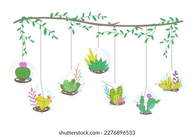 Composition with cacti. Tropical cactus, succulents in the geometric glass florariums. Vector illustration.