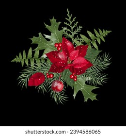 Composición con flor navideña y holly. Isolación, ilustración vectorial.