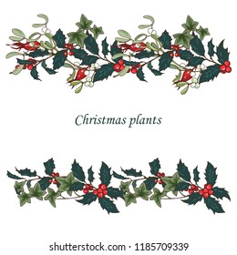 Composition of Christmas plants, fir branches, Holly, cones, ivy and mistletoe, vector illustration