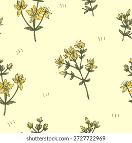 Composition with circle place for your text of Hypericum or St. John’s wort, medicinal plant, sketch of stem with leaves and flowers. Vector illustration