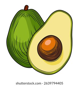 Composition of colored whole avocado and slice with pit isolated on white background. Tropical summer fruit vector hand drawn illustration. Detailed food drawing for label, poster, print.
