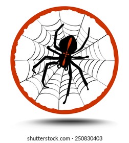 Composition crusader spider on his web in red circle, illustration with shadow
