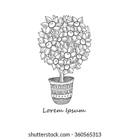 Composition with cute hand drawn calamondin tree in ornamental pot. Doodle style. Vector