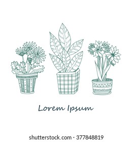 Composition with cute hand drawn house plants in ornamental pots. Doodle style. Vector