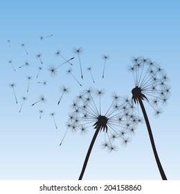 Composition of dandelion flowers on blue background. Vector outline illustration.