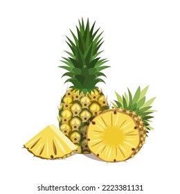 The composition is delicious pineapples, a whole fruit.half and a piece isolated on a white background.Vector composition of fruits for juice packs,textiles, postcards.