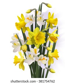  Composition of the delicious spring flowers for design of postcards, brochures, banners, flyers,isolated, on a plane surface, vector