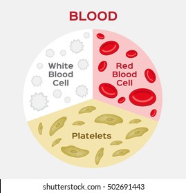 15,307 Blood composition Images, Stock Photos & Vectors | Shutterstock