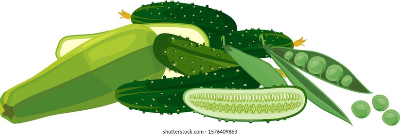 Composition of different green vegetables isolated on white background