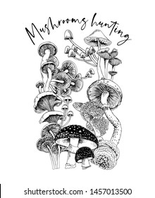 Composition of a Different mushrooms. Mushrooms hunting - lettering quote. Humor card, t-shirt composition, hand drawn style print. Vector black and white illustration.