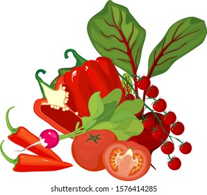 Composition of different red vegetables isolated on white background