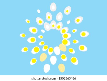 Composition of drawings of chicken eggs in section