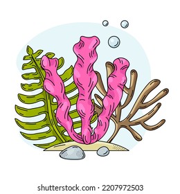 Composition of edible algae Wakame, Arame and Nori in outline style isolated on white background.