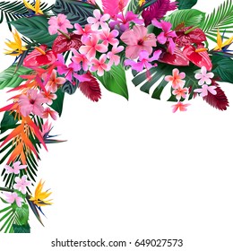 A composition of exotic, tropical colors with a place under the text.Vector