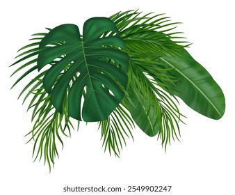 Composição de folhas tropicais exóticas, ramos, plantas do paraíso. Para convite botânico verde, design de cartão natural. Ilustração de vetor