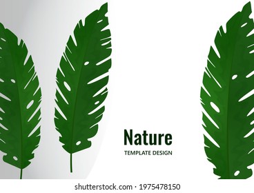 Composition from exotic tropical leaves on a white background. Template for your design. Vector illustration
