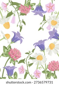 composition with field flowers, vector drawing wild plants at white background, floral frame, bellflowers, bindweed, clover and daisies, hand drawn botanical illustration