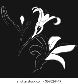 Composition of  floral motif, doodles,spots,lilly flowers, branch, hole, bud, leaves, copy space. Hand drawn.