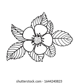 Composition with flower and leaves, black and white. Hand drawn doodle. Black silhouettes on white background.Isolated.Vector illustration.