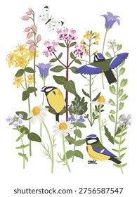 composition with flowers, butterflies and birds, vector drawing flowering wild plants and blue tits , wildlife natural background, hand drawn botanical illustration