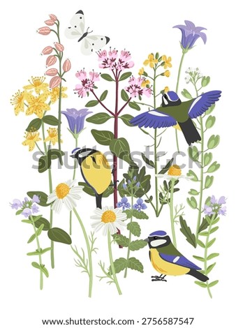 composition with flowers, butterflies and birds, vector drawing flowering wild plants and blue tits , wildlife natural background, hand drawn botanical illustration