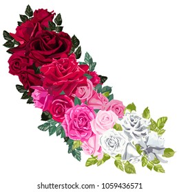 Composition of flowers and leaves of red, pink and white roses.