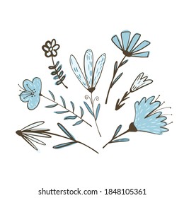 Composition from flowers on twigs with foliage on white background. Abstract botanical sketch blue color hand drawn in style doodle vector illustration.