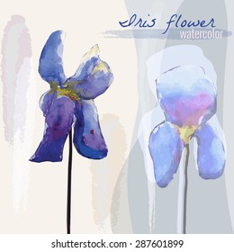 The composition of flowers painted in watercolour irises, vector illustration