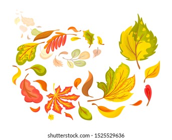 Composition of flying autumn colorful leaves. Colored isolated beautiful autumn elements fall leaves. Leaves fall, swirl in the autumn time vector cartoon illustration isolated.