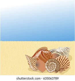 A composition of four realistic sea shells of mollusks lying on the sand of the coast. Summer beach vacation and seascape concept that can be used in newsletter, brochures, postcards, banner. 