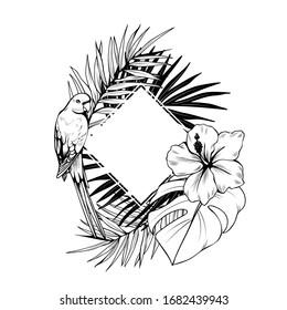 Composición con marco, hibisco, hojas de palma y loro. Ilustración botánica vectorial