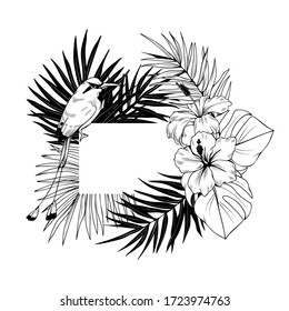 Composition with frame, hibiscus, palm leaves and bird. Vector botanical illustration