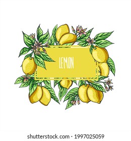 Composition frame made of vector hand drawn stylized branches with lemons, flowers and leaves. Fruit natural products. Print for clothing and design. Place for Inscription