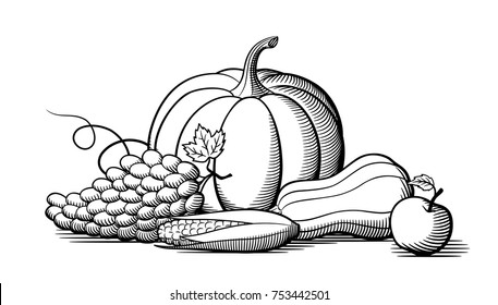 Composition fresh ripe fruits   vegetables  Pumpkin  grapes  corn   butternut squash  Black   white vector illustration