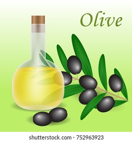 Composition of glass, transparent bottles with olive oil and lying near the branches of the olives. With text olive. The Mediterranean design.