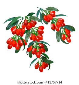 composition of goji berries