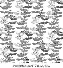 Composition of gray shades of vegetation on a white background with an old vintage texture. Floral seamless vector illustration.