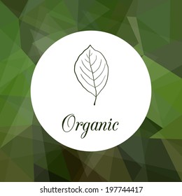 Composition with green leave, vintage vector illustration
