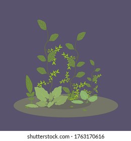 Composition of green leaves. Various instances of the summer season are presented. Use as a poster and banner. Ecology and nature. Concept for presentation. 