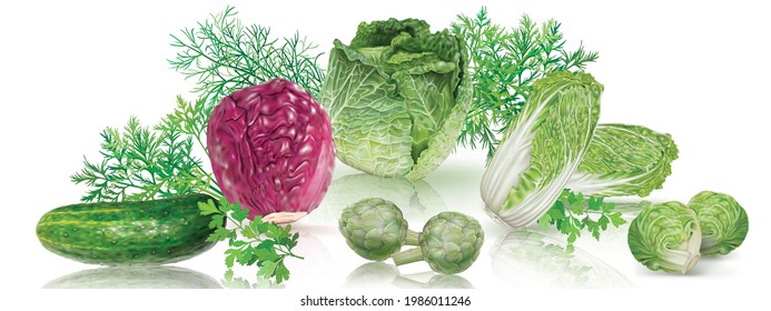 Composition of green and purple headed cabbages and cucumber, artichokes decorated with herbs on a transparent background. Food concept. Mesh vector illustration