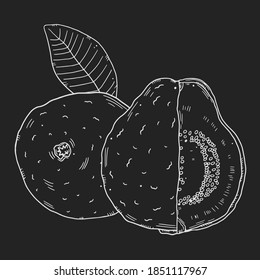 Composition of guava fruits with leaves. Monochrome chalk contour drawing isolated on black background. Doodle style.