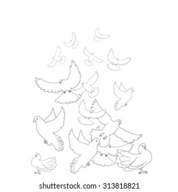Composition of hand drawn doves (pigeons) on white background. Outlined pictures of birds. Vector illustration