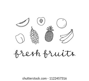 Composition with hand drawn outline fruits and lettering on white background.