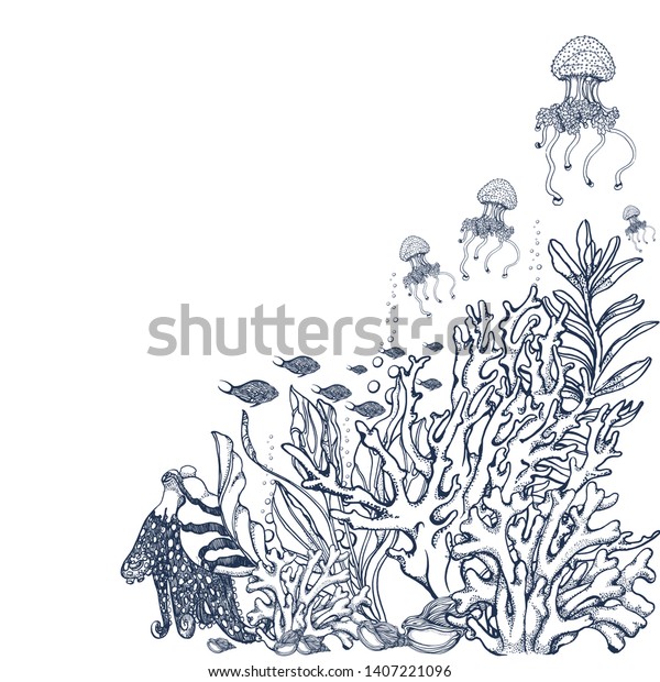 Composition Hand Drawn Underwater Natural Elements Stock Vector ...