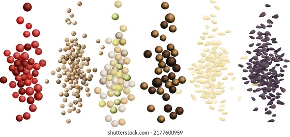 la composición de mangos, montículos de pimienta multicolor negra, roja y blanca, semillas de cilantro y sésamo, hojas de laurel y cilantro, clavos. Dibujo vectorial realista, sin fondo.